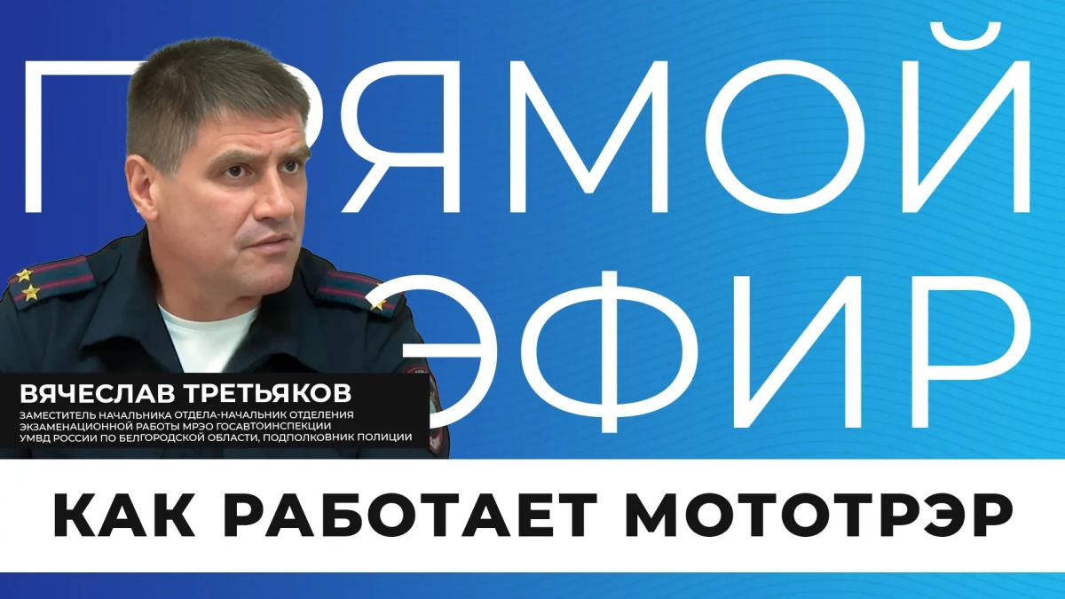 Регистрация автомобиля, получение водительских прав, экзамены — с этими услугами хотя бы раз сталкивался практически каждый автомобилист