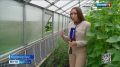 Олег Медведев: Порядка 3 тысяч жителей Белгородской области заключили социальные контракты только с начала 2026 года