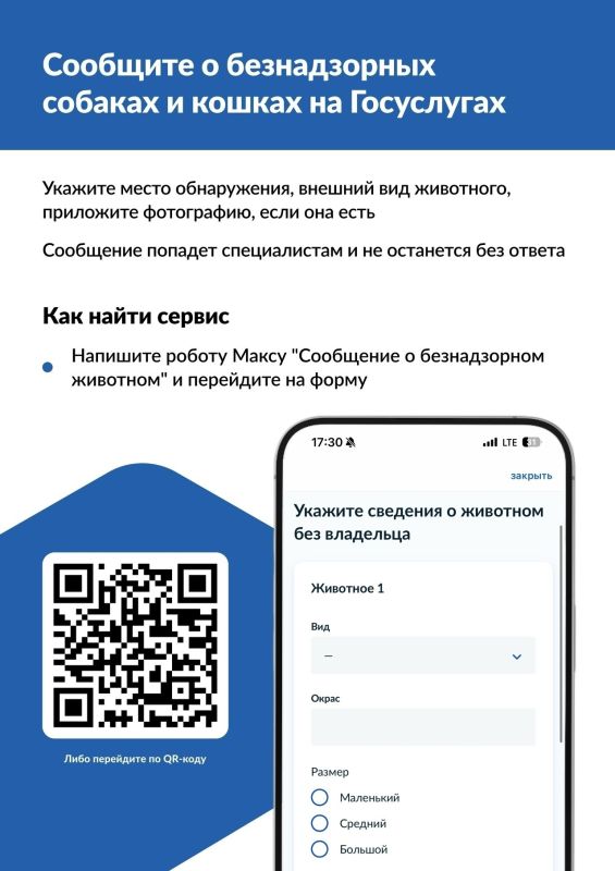 Как записать питомца к ветеринару на Госуслугах