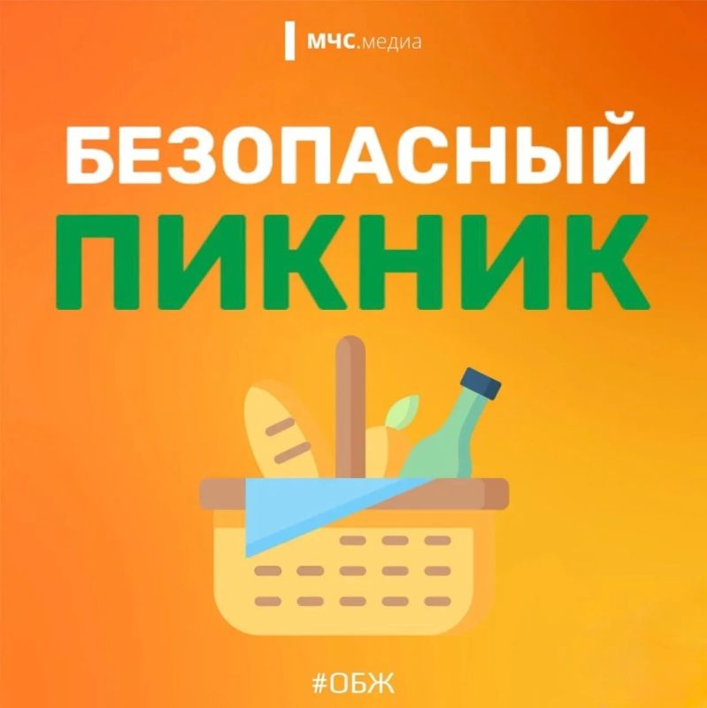 Безопасный пикник. Лето - время пикников и отдыха на природе! Чтобы твоё времяпрепровождение было приятным и безопасным, МЧС России напоминает о простых, но важных правилах: