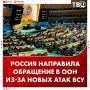 Яна Лантратова направила обращение в ООН из-за новой волны террористических атак ВСУ на российские регионы