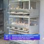 Жительница Белгородского округа начала своё дело благодаря социальному контракту