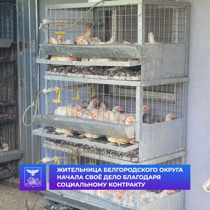 Жительница Белгородского округа начала своё дело благодаря социальному контракту