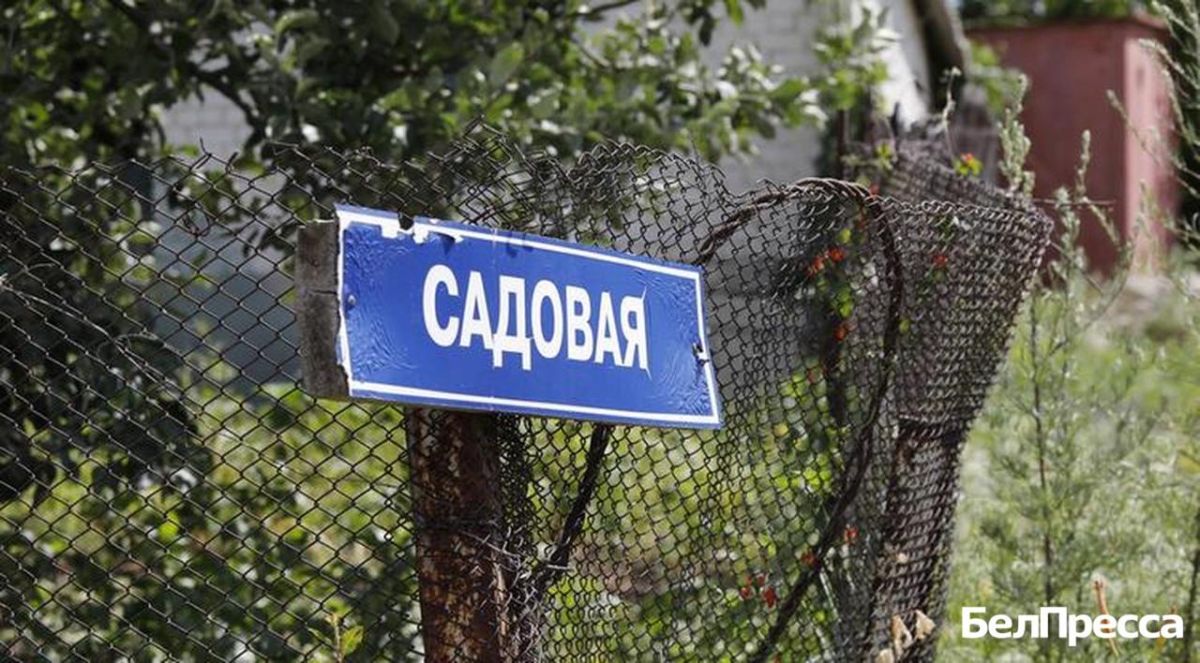 Белгородцы готовы вложить в обустройство дачи до 100 тысяч рублей