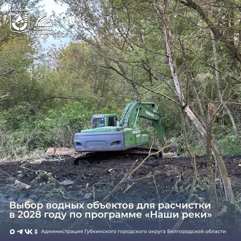Проводится голосование за водный объект для расчистки в 2028 году