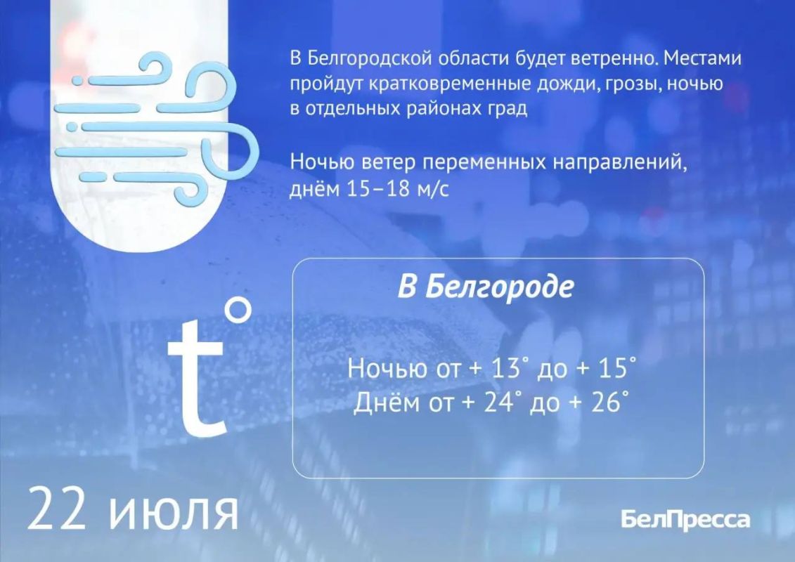 В среду в Белгородской области будет сильный ветер