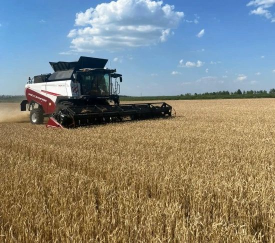 Аграрии Волоконовского округа приступили к уборке ранних зерновых культур