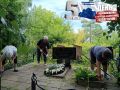 ���� ��������: � ���������� ��������� ��� ������� ���������� ���� � 5 �������, ��� ������������ ������������ �� �������-���������� �����������, � � ������ �������� ������ �������� ���������