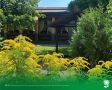 28 ����. ����������� ������� 28�C, ���������� ����������, ��������������� �����