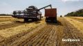 Старооскольские аграрии начали уборку зерновых