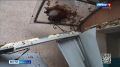 Уже известно, что после ночного налёта беспилотников ВСУ на Белгород повреждения получили 147 квартир в 22 многоквартирных домах