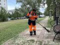 �������� �������: ������� ����� � ���������: ������������ ������ �������� � ���������