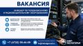Вакансия на «Мире Белогорья»