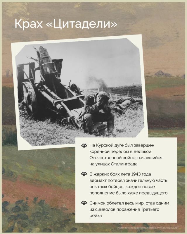 За каждым старым снимком — своя эпоха, герои и тайны