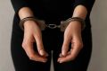 Жительницу Белгородской области привлекли к административной ответственности за публикацию последствий атак ВСУ