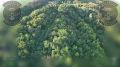 54 вражеских «птицы» в белгородском небе уничтожили расчёты FPV-ПВО отряда БПЛА и батальона противодействия беспилотным системам бригады «Барс-Белгород» только с 1 по 2 августа