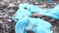 Свыше 100 кг мясной продукции уничтожили специалисты на полигоне бытовых отходов в Белгороде