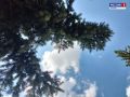 � �����������, 9 �������, �������������� ���������� ����������