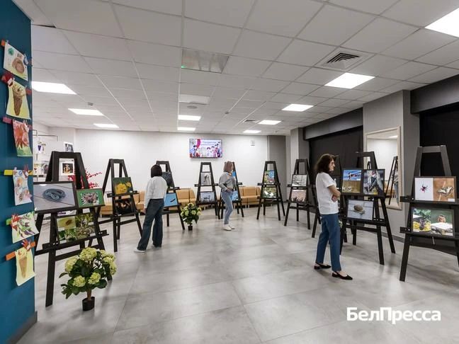 В Короче провели фотовыставку о редких обитателях Белгородской области