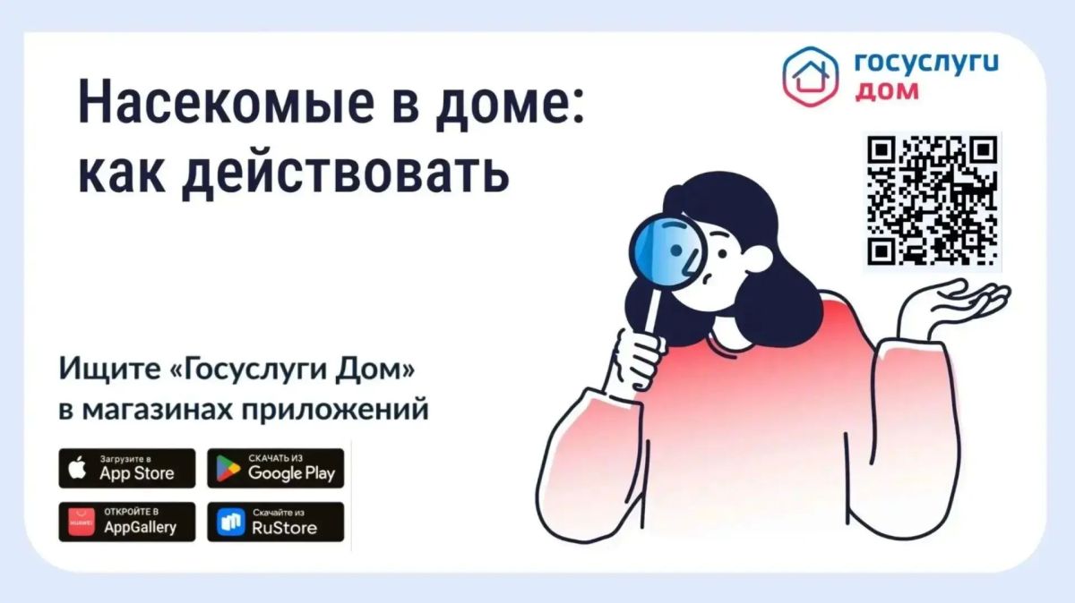 Информируем вас о том, как бороться с появлением насекомых в многоквартирном доме