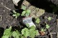 Белгородские росгвардейцы пресекли незаконный оборот наркотиков