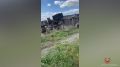 #СВОДКА_ДТП. По предварительным данным, вчера около 14 часов 00 минут на 2 км автодороги «Чаплыжное-Ивановка- Лукьяновка-граница Курской области» Губкинского округа 46-летний водитель, управляя автомобилем «МАН» в составе...