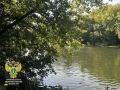 � ��������������� ������ ������������� �������������� ������ ��������� � ����