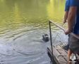 Трагедия на воде: в Старом Осколе утонул ребенок