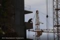 В Черноземье дольше всего копить на новую квартиру придется белгородцам