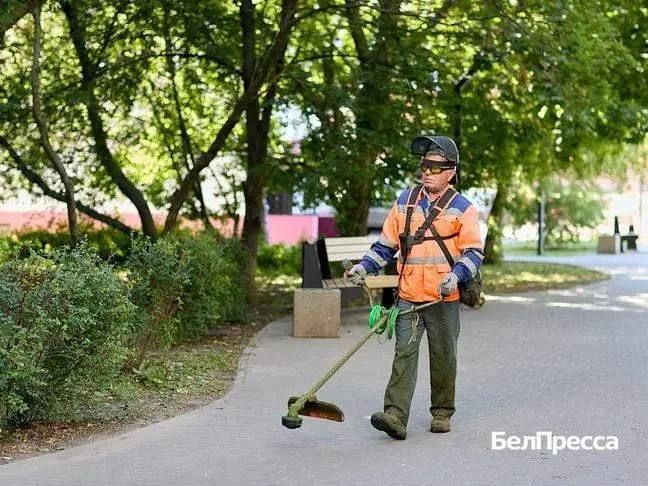 В Белгороде приводят в порядок территории рядом со школами и детскими садами