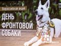 Хотим поделиться с вами списком любопытных фактов о фронтовых собаках