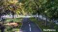 ��������� ����������� �������� ����������, ����������� �� �����������