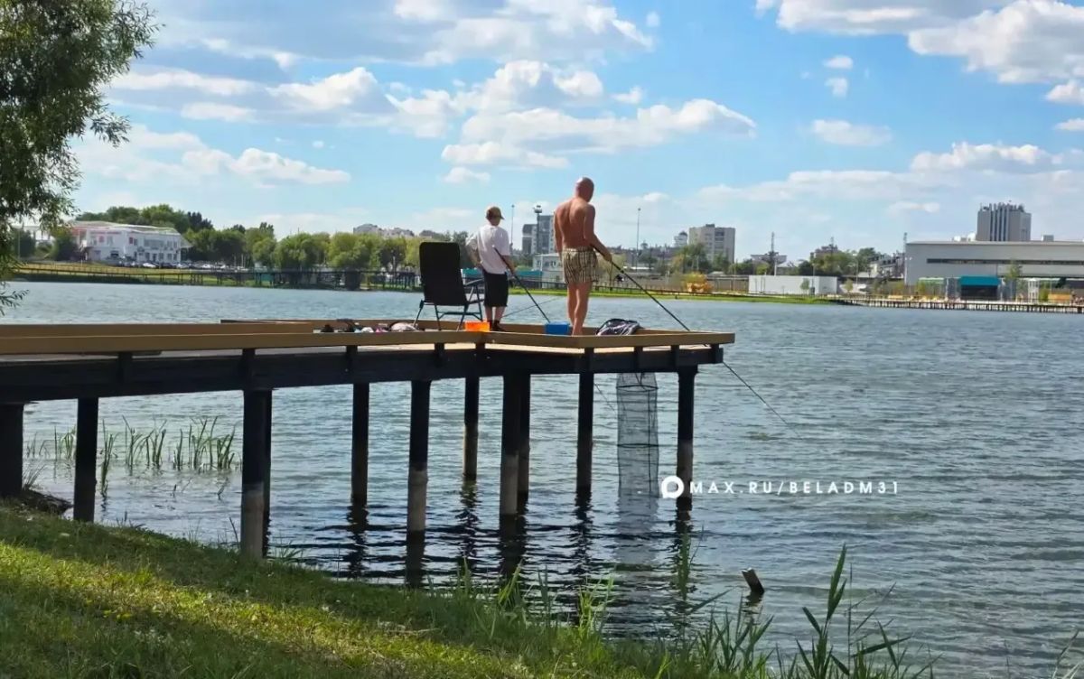 Доброе утро, Белгород!. 21 августа днём температура поднимется до +24…+26 °C, будет солнечно