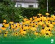23 августа. Температура воздуха 35°C, ясно, без осадков