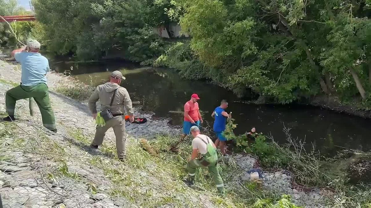 Сразу четыре дерева повалил сильный ветер прямо в реку на набережной в областном центре