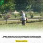 � ������������ ������ ������������ ����������� �� ����������� ���������-�������������� �������