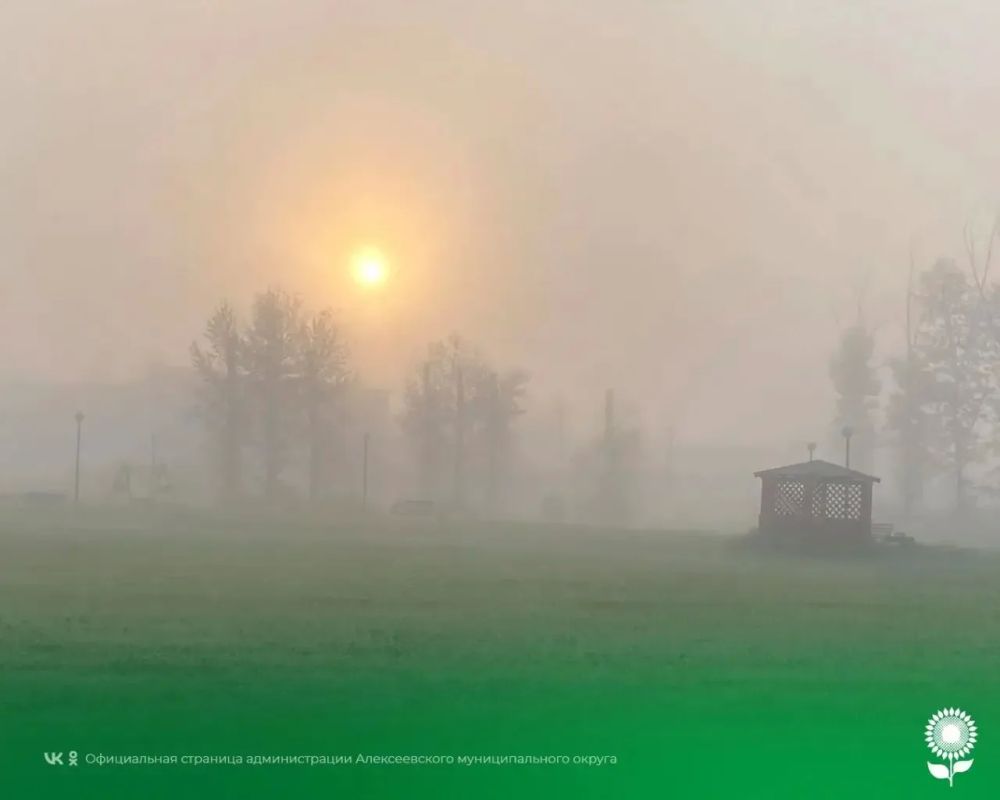 25 августа. Температура воздуха 26°C, переменная облачность, без осадков