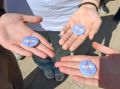 � ����������� ������ ���������� ���� ����������� ���������� �� ����� �������