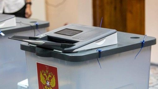 Белгородцы могут вызвать волонтёра на избирательный участок через «Госуслуги»