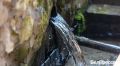 Прозванный Громобойным. Борисовском округе реконструировали старинный источник