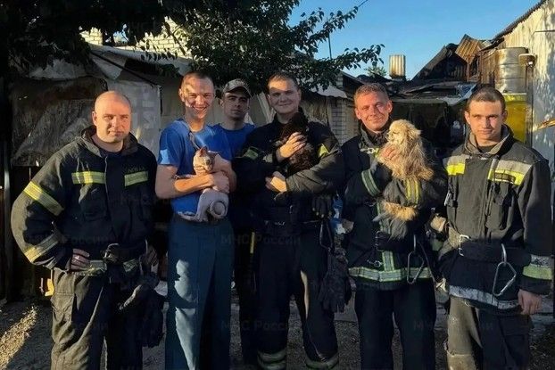 Белгороде сотрудники МЧС спасли трёх домашних питомцев от пожара