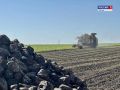 Аграрии региона продолжают уборку сахарной свёклы