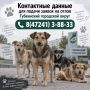 Уважаемые жители Губкинского городского округа!