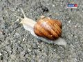 �������, 16 ��������, ��������� �������� � ������������ ������