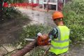 Сотрудники БГБ с утра устраняют последствия непогоды в Белгороде
