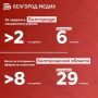За неделю мошенники похитили у белгородцев почти 9 млн рублей