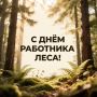 Дорогие лесники, экологи и все, кто защищает природу Волоконовского округа!
