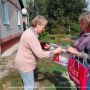 Выборы в Белгородской области