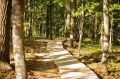 ������� � ���� ���������� ���� � �������������������� ��������������