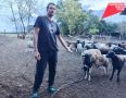 ����� ��������� �� ���� ���������� ������� ��������������� ������ � ������ ����������� ��������� �� ������������ � ���������� ���� ��������